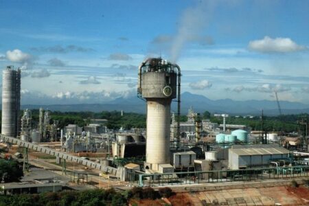 Dari Cerobong Pabrik ke Kebun Kota: Cara Gue Ubah CO2 Jadi Pupuk Cair Super 2025