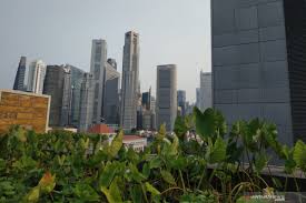 Dari Tanah ke Silikon: Mengapa Atap Gedung Jakarta dan Basement Singapura Menghasilkan Tanaman “Bio-Identikal” di Tahun 2026