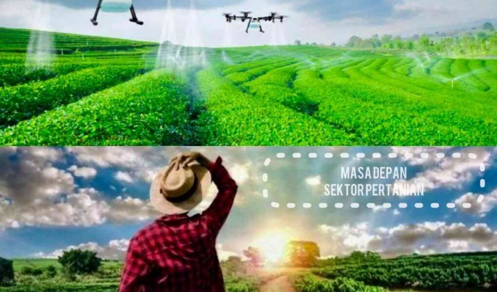 Petani Milenial Ini Hapus 'Sistem Monokultur' Lahan 5 Hektar — Diajak Tanam Campur Aneh, Hasil Panennya 3 Kali Lipat & Tanahnya Hidup Kembali