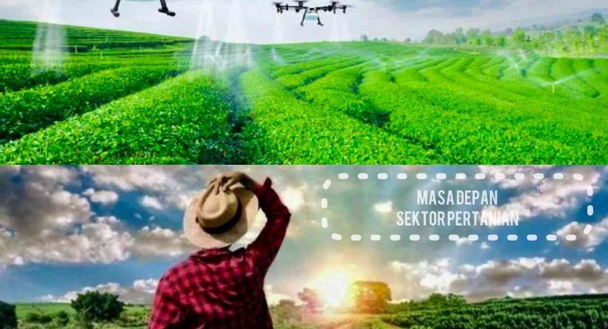 Petani Milenial Ini Hapus 'Sistem Monokultur' Lahan 5 Hektar — Diajak Tanam Campur Aneh, Hasil Panennya 3 Kali Lipat & Tanahnya Hidup Kembali
