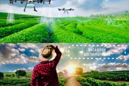 Petani Milenial Ini Hapus 'Sistem Monokultur' Lahan 5 Hektar — Diajak Tanam Campur Aneh, Hasil Panennya 3 Kali Lipat & Tanahnya Hidup Kembali