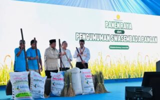 Puncak Kemarau vs Swasembada Beras: 5 Fakta di Balik Janji Lumbung Pangan Dunia yang Mulai Jadi Nyata di 2026