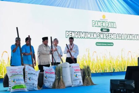 Puncak Kemarau vs Swasembada Beras: 5 Fakta di Balik Janji Lumbung Pangan Dunia yang Mulai Jadi Nyata di 2026