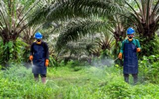 Panen Melimpah Tanpa Jebakan Cuaca: Revolusi Pertanian Presisi IoT yang Kuasai Sektor Agrikultur Agustus 2026