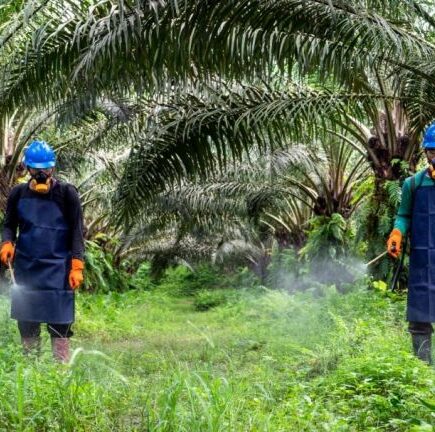 Panen Melimpah Tanpa Jebakan Cuaca: Revolusi Pertanian Presisi IoT yang Kuasai Sektor Agrikultur Agustus 2026