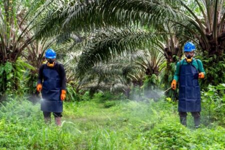 Panen Melimpah Tanpa Jebakan Cuaca: Revolusi Pertanian Presisi IoT yang Kuasai Sektor Agrikultur Agustus 2026