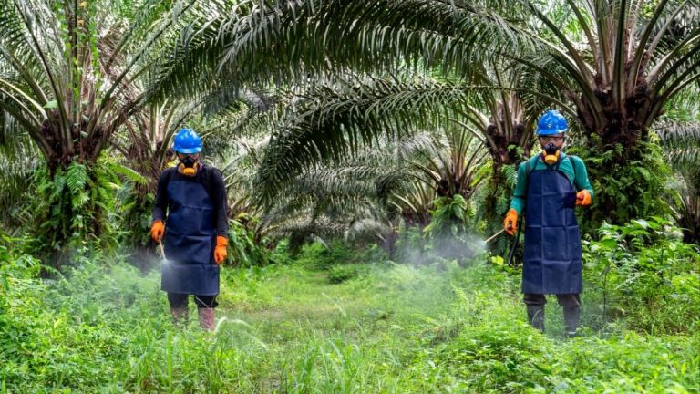 Panen Melimpah Tanpa Jebakan Cuaca: Revolusi Pertanian Presisi IoT yang Kuasai Sektor Agrikultur Agustus 2026