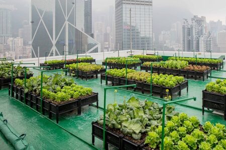 Urban Farming Vertikal 2026: Cara Unik Warga Perkotaan Panen Sayur Organik Segar di Lahan Sempit Memanfaatkan Teknologi 'Smart Hydroponic' Berbasis Tenaga Surya
