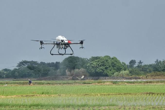 Bukan Lagi Cangkul dan Lumpur: Revolusi Smart Urban Farming Berbasis Drone AI yang Bikin Generasi Z Berebut Jadi Petani Modern di Perkotaan